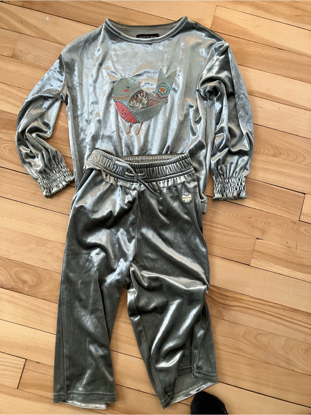 TWo piece Set! Velvet Bird Embroidered Silver Sweatshirt and Pants. Like new.